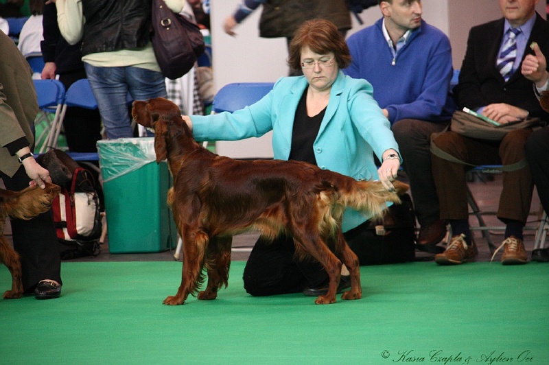 Crufts2011 076.jpg